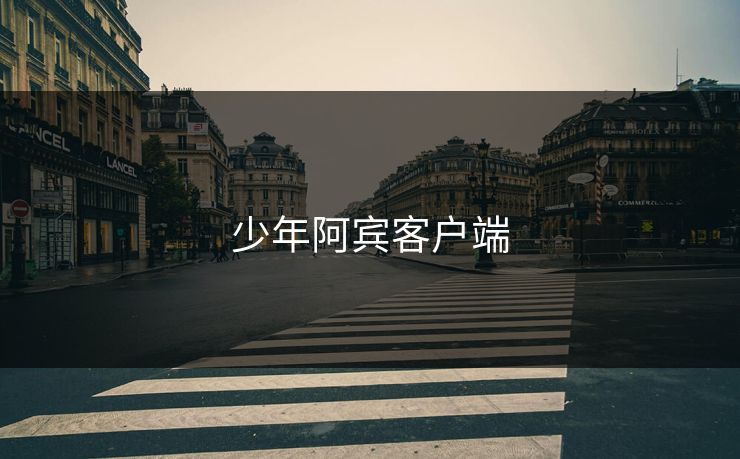 少年阿宾客户端