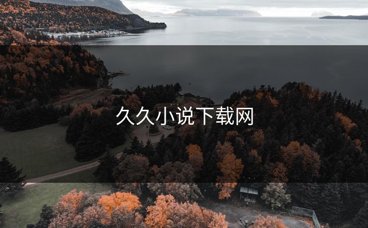 久久小说下载网 久久小说下载网