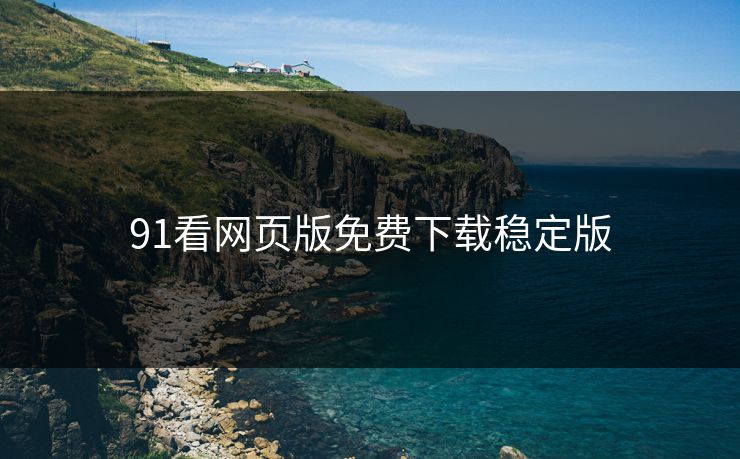 91看网页版免费下载稳定版