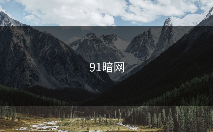 91暗网