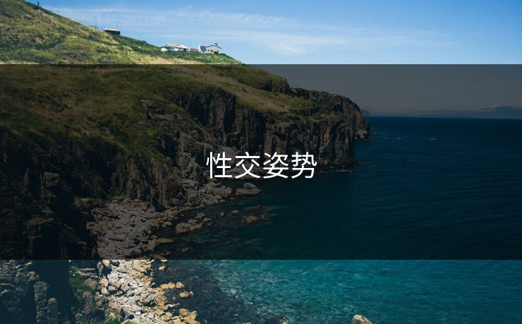 性交姿势