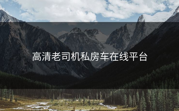 高清老司机私房车在线平台
