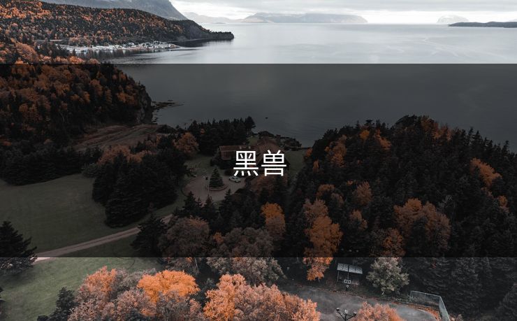 黑兽