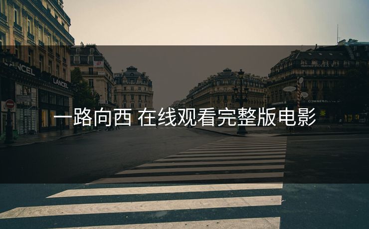 一路向西 在线观看完整版电影