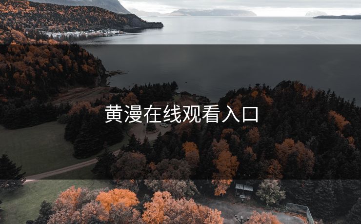 黄漫在线观看入口