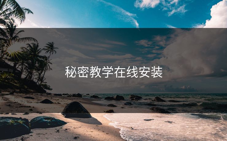秘密教学在线安装