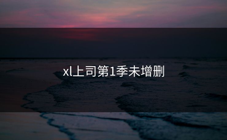 xl上司第1季未增删